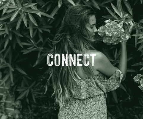 230313_MMV_WEBSITE_CTA_SHOP STAY CONNECT_NEW_R1-03 Connect Maui Mall Village